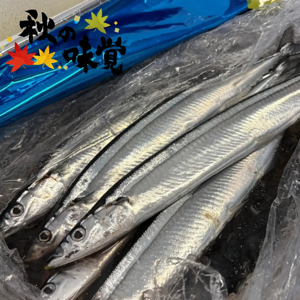 宮城産『さんまの贅沢便』