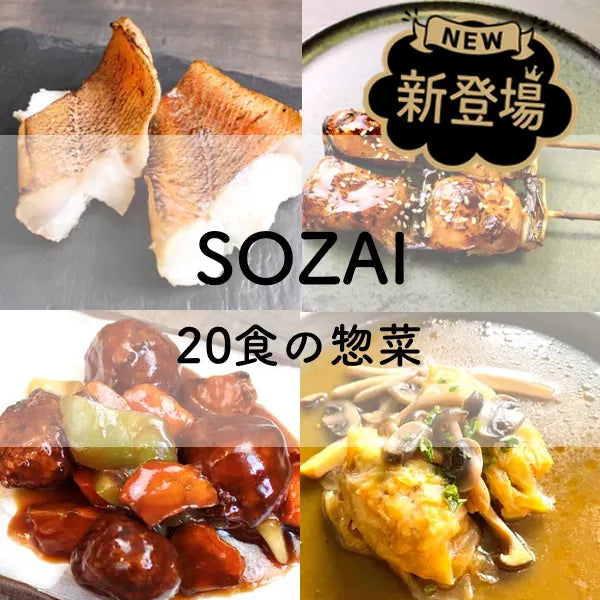 SOZAI+