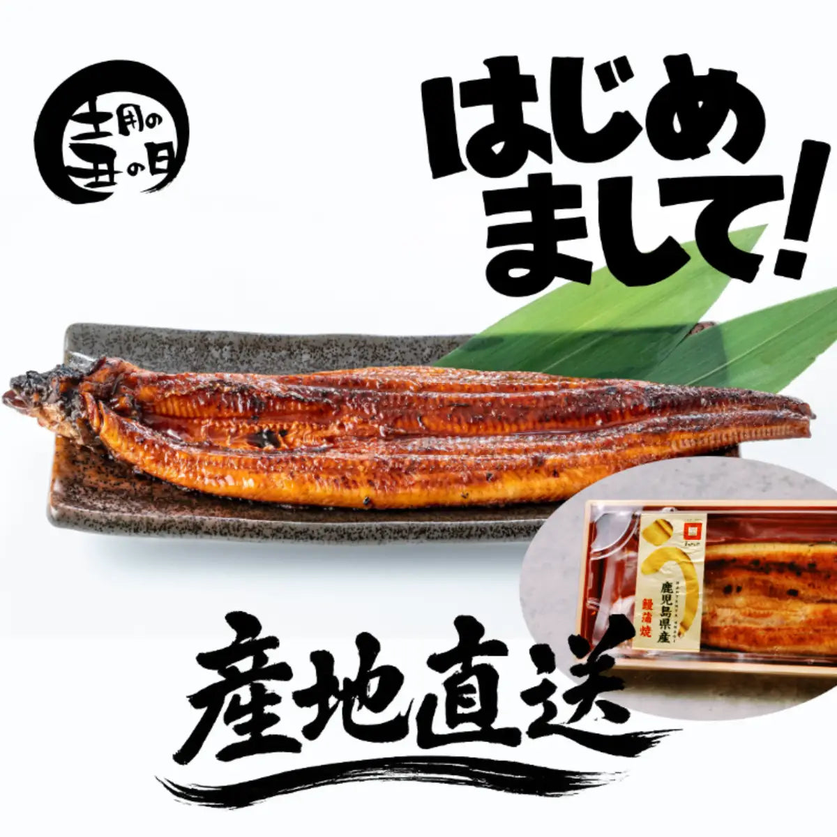 『鹿児島県産』特選うなぎ蒲焼き|ようこそOmakaseへ