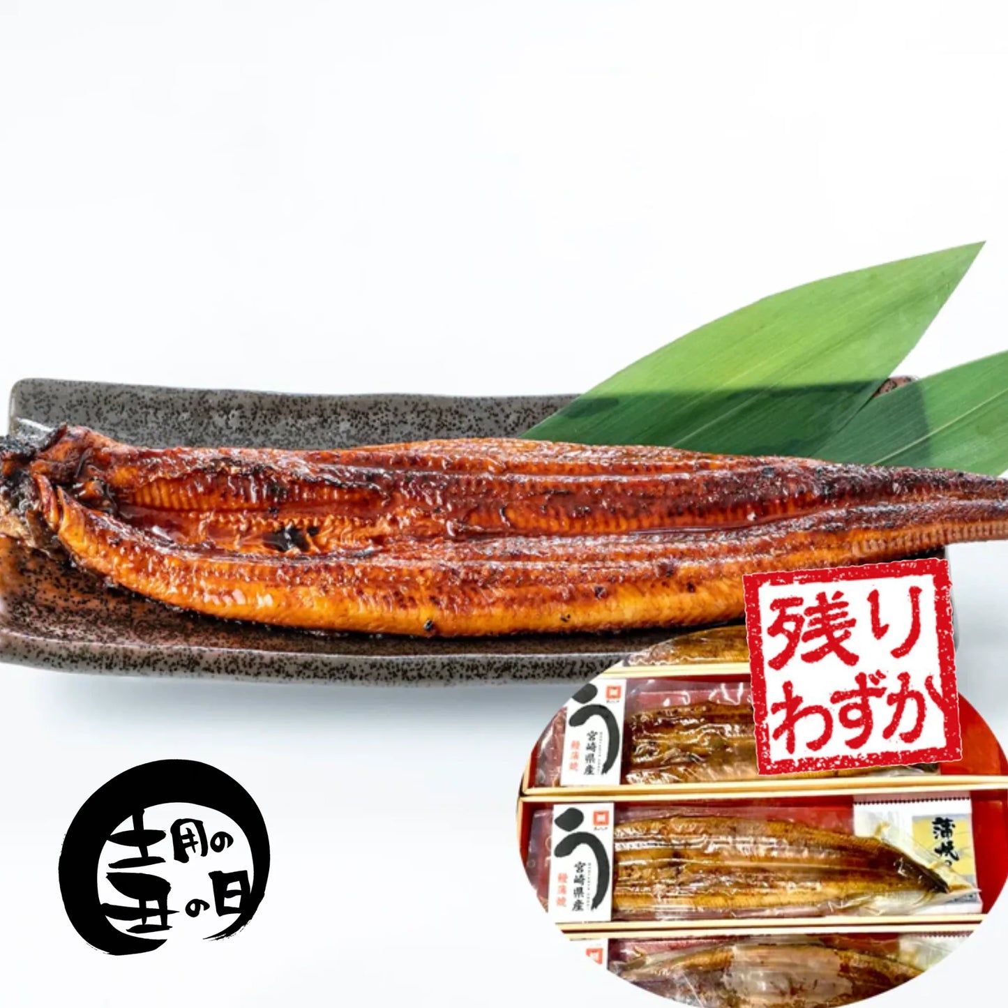 『宮崎直送』 特選うなぎ蒲焼き