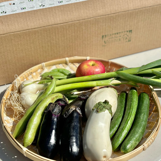 【お試し特別価格】産地直送 日本野菜詰め合わせ