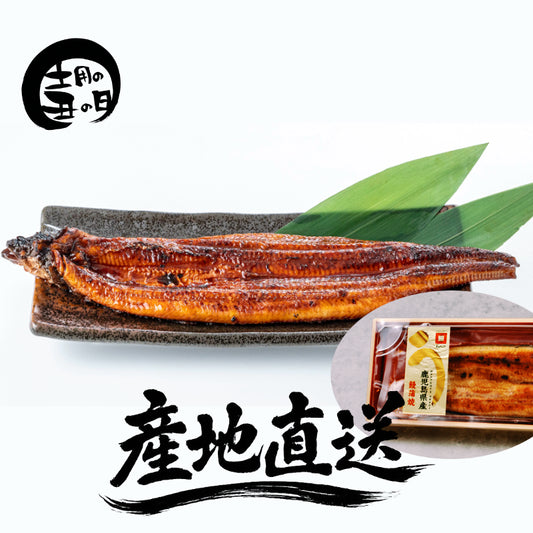 『鹿児島県産』 特選うなぎ蒲焼き