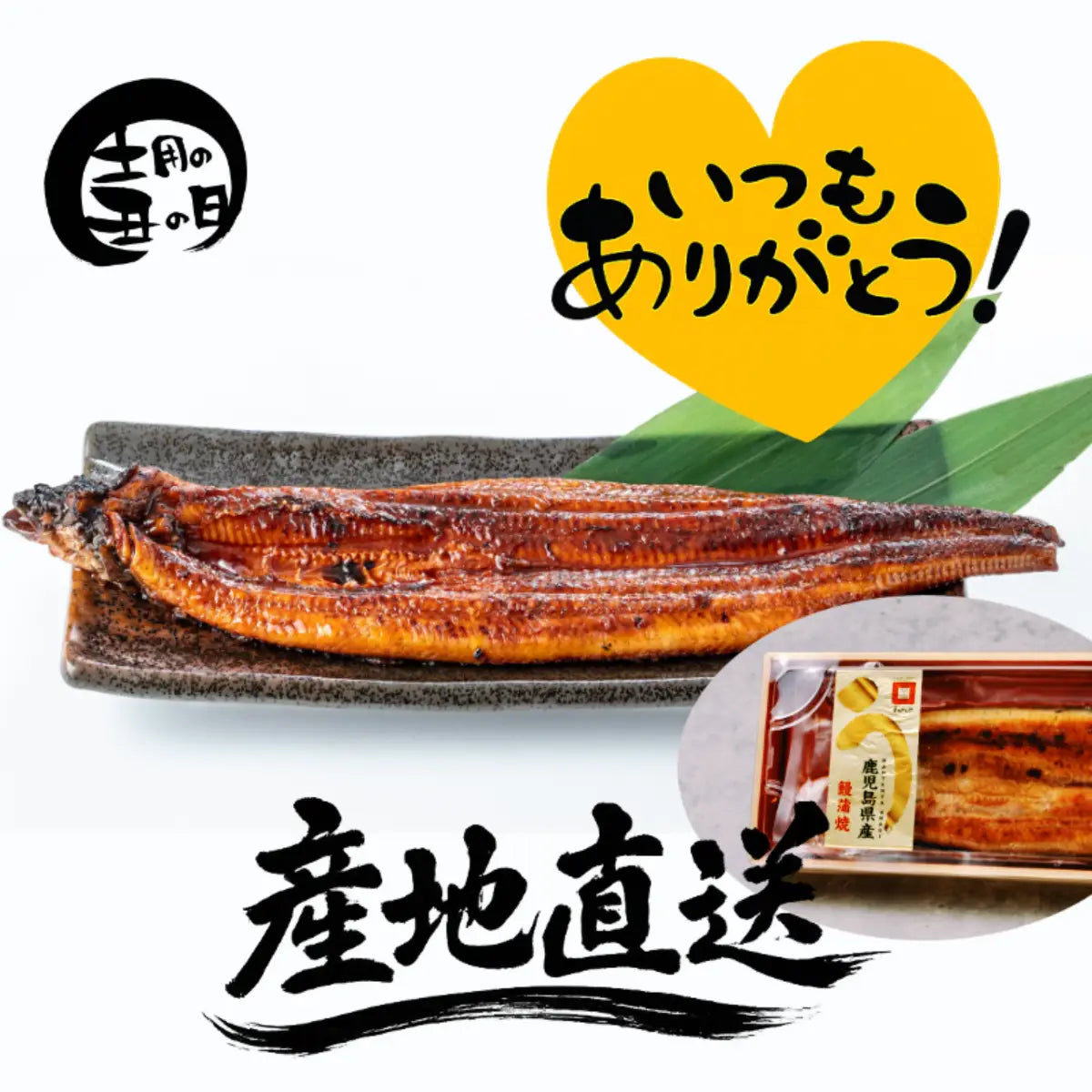 おまかせ便｜『鹿児島県産』特選うなぎ蒲焼き